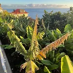 Escola Da Bica Arco da Calheta (Madeira)