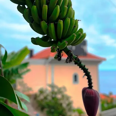 Escola Da Bica * Arco da Calheta (Madeira)