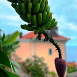 Escola Da Bica * Arco da Calheta