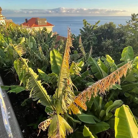 Escola Da Bica Arco da Calheta (Madeira)