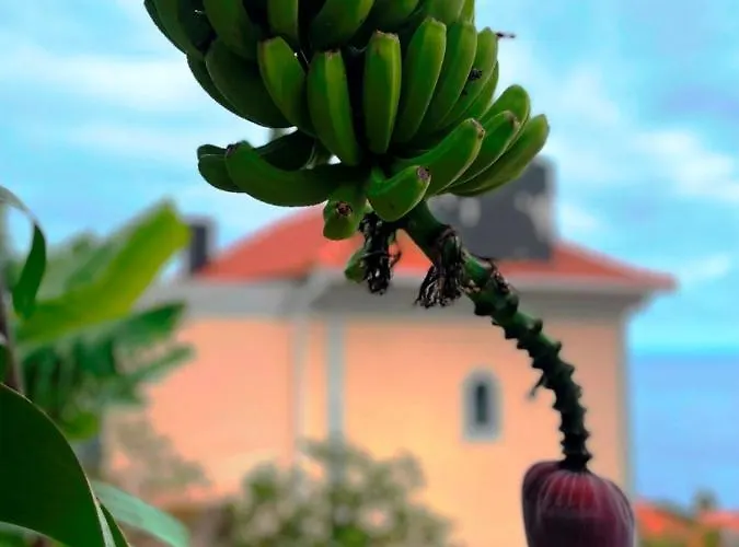 Escola Da Bica * Arco da Calheta (Madeira)