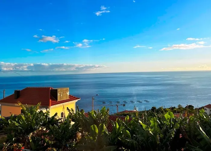 Escola Da Bica Arco da Calheta (Madeira)