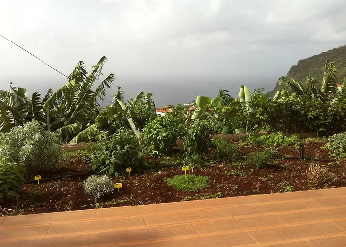Escola Da Bica Tatil Evi Arco da Calheta (Madeira)
